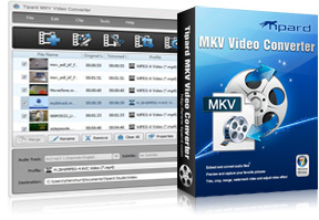 MKV Video Converter Screen