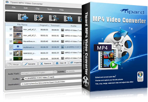 MP4 Video Converter Screen
